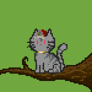 Cat 10009