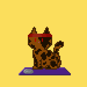 Cat 1008