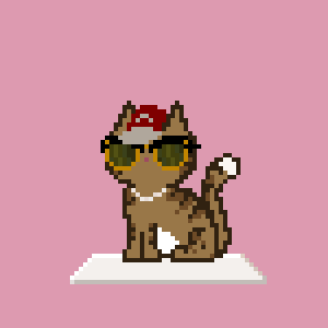 Cat 10121
