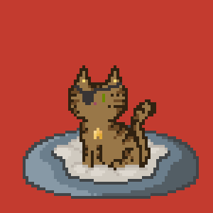 Cat 10122