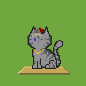 Cat 10137