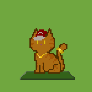 Cat 10162