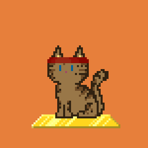 Cat 1017