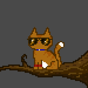 Cat 10177