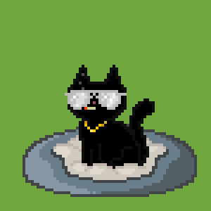 Cat 10211