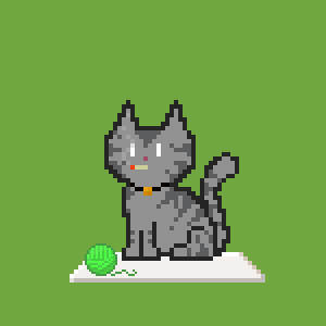 Cat 105