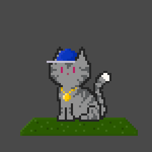 Cat 10501