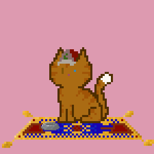 Cat 10505