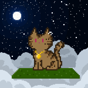 Cat 10531