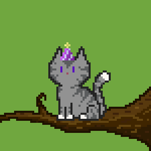 Cat 10571