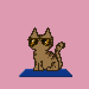 Cat 107