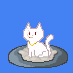 Cat 10707
