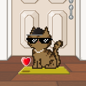Cat 10797