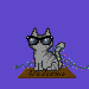 Cat 1080