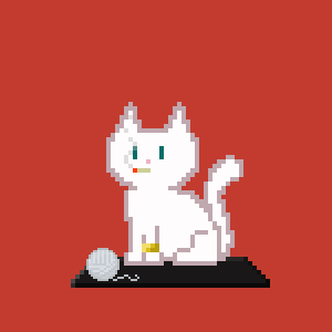 Cat 10804