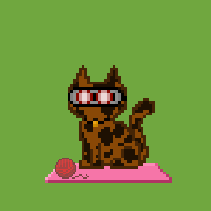 Cat 10806