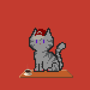 Cat 10897