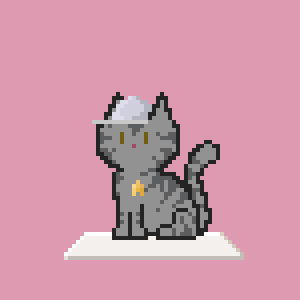 Cat 10919