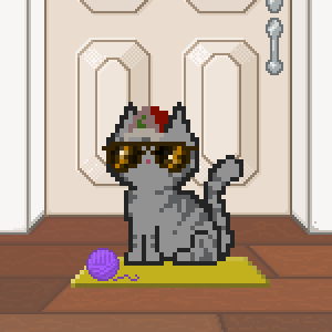 Cat 10961