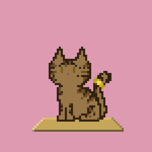 Cat 1111