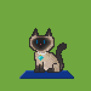Cat 112