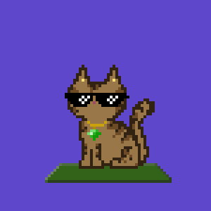 Cat 1146