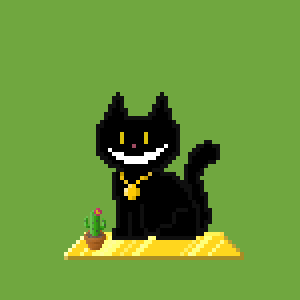 Cat 1167