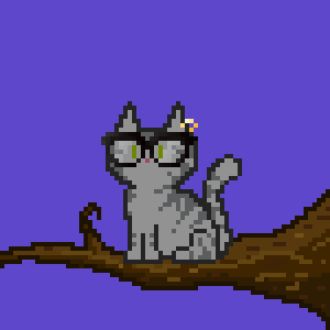 Cat 1177