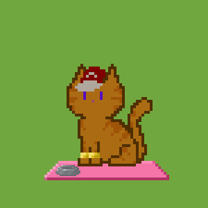 Cat 1234