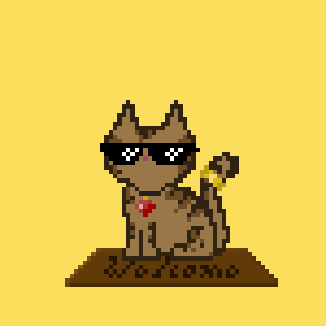 Cat 1237