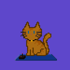 Cat 1248