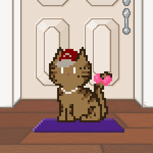 Cat 127