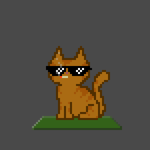 Cat 1331