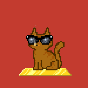 Cat 1337