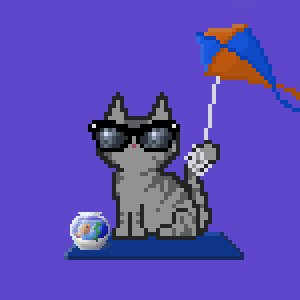 Cat 1355