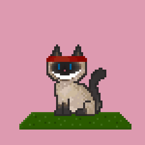Cat 1412