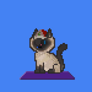 Cat 1437
