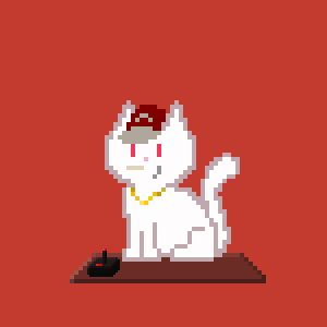 Cat 146