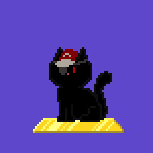 Cat 1557