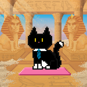 Cat 1562