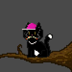Cat 1588