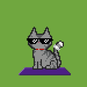 Cat 1664