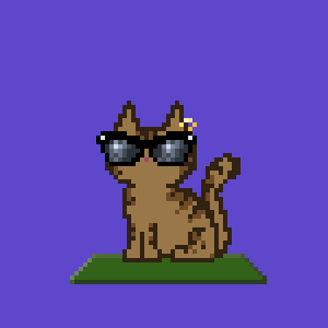 Cat 1700