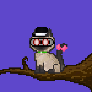 Cat 178