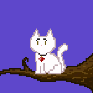 Cat 1896
