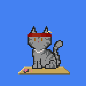 Cat 1901