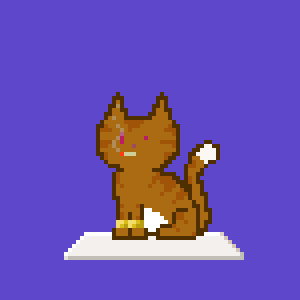 Cat 1902