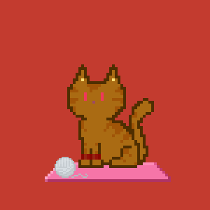 Cat 1905
