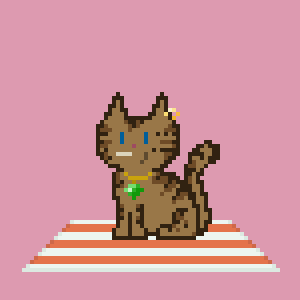 Cat 2018