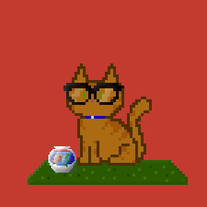 Cat 2021